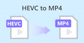 Fevc から MP4
