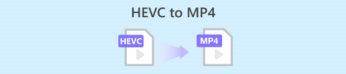 Da Fevc a Mp4