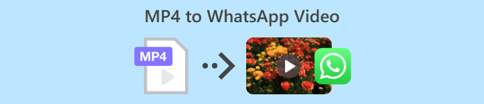Βίντεο Mp4 σε Whatsapp