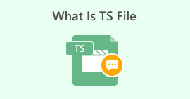 What is Ts File