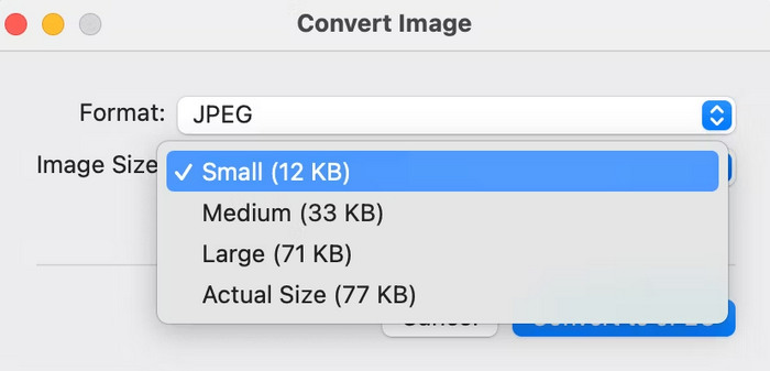 Сжать Jpg Mac Быстрые действия Выбор размера изображения