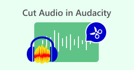 Cut Audio In Audacity
