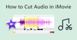 Cut Audio in Imovie