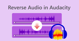 Reverse Audio in Audacity