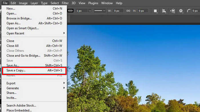 Omjer kompresije Photoshop Spremi kopiju