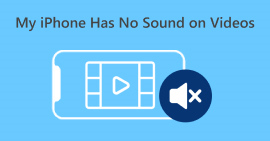 My iPhone Has no Sound On Videos