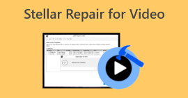 Stellar Repair For Video