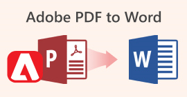 Adobe PDF to Word