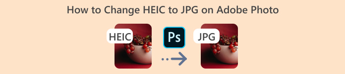Adobe Photo에서 HEIC를 JPG로 변경하는 방법