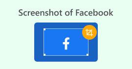 Screenshot on Facebook