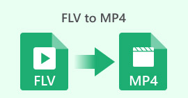 Flv To Mp4