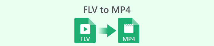 Flv 轉 Mp4
