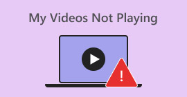 My Videos Not Playing