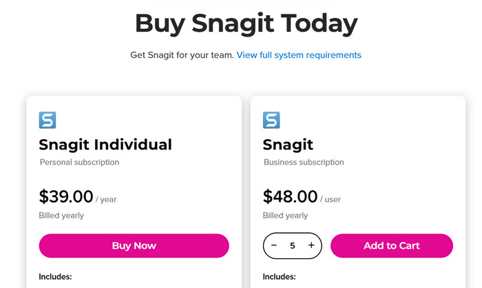 Snagit Price