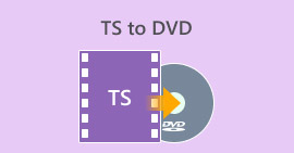 Ts To Dvd