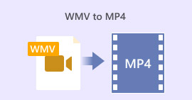Wmv To Mp4