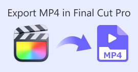 फाइनल कट प्रो में Mp4 निर्यात करें