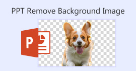 Ppt-remove Background Image