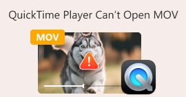 Quicktime Player Cant Open Mov