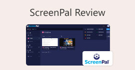 Recenze Screenpalu