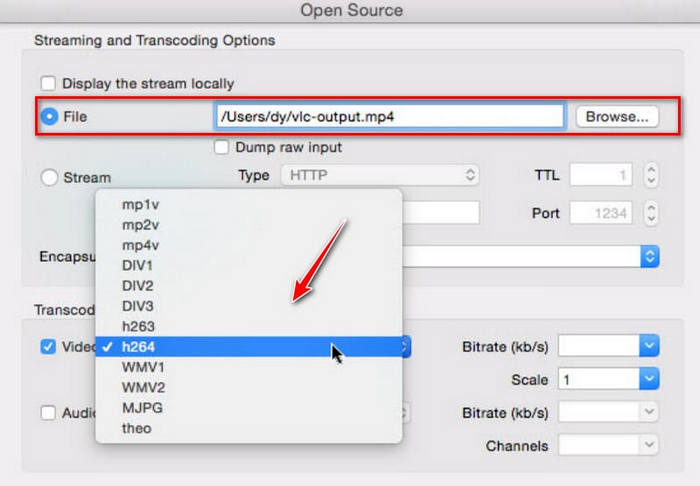 Vlc Mac Biçimi