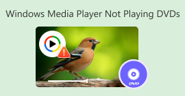 Windows Media Player Not Playing Dvds