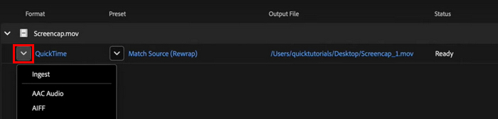 Adobe Media Encoder Click Output Format