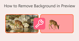 App to Change Background of Picture