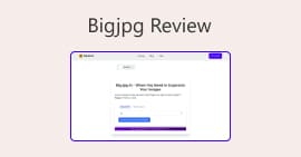 Bigjpg-recension