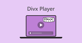 DivX播放器