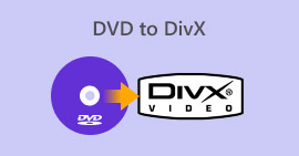 DVD ל-DivX