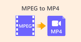 MPEG zu MP4