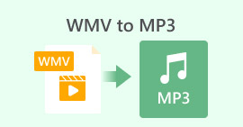 WMV til MP3