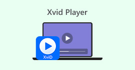 Xvid Player