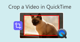 QuickTime'da Video Kırpma