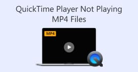 QuickTime Player no reproduce archivos MP4
