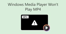 El Reproductor de Windows Media no reprodueix MP4