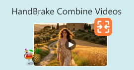 HandBrake Combine Videos