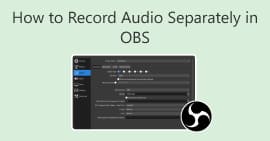 How to Record Audio Separately in OBS
