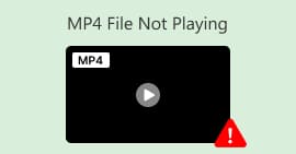 Opravit, že se MP4 nepřehrává