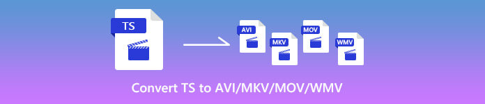 TS ל- AVI MKV MOV WMV