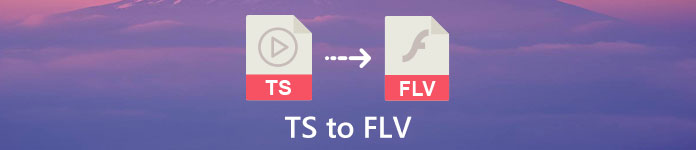 TS til FLV