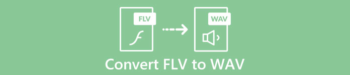 Convierta FLV a WAV