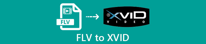 FLV ל- Xvid