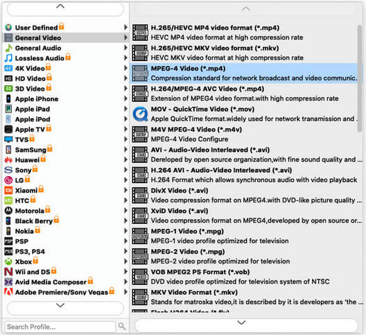 Seleziona il formato di output