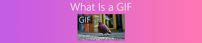 What Is a GIF