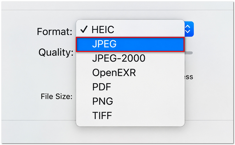 Pick Jpg Format