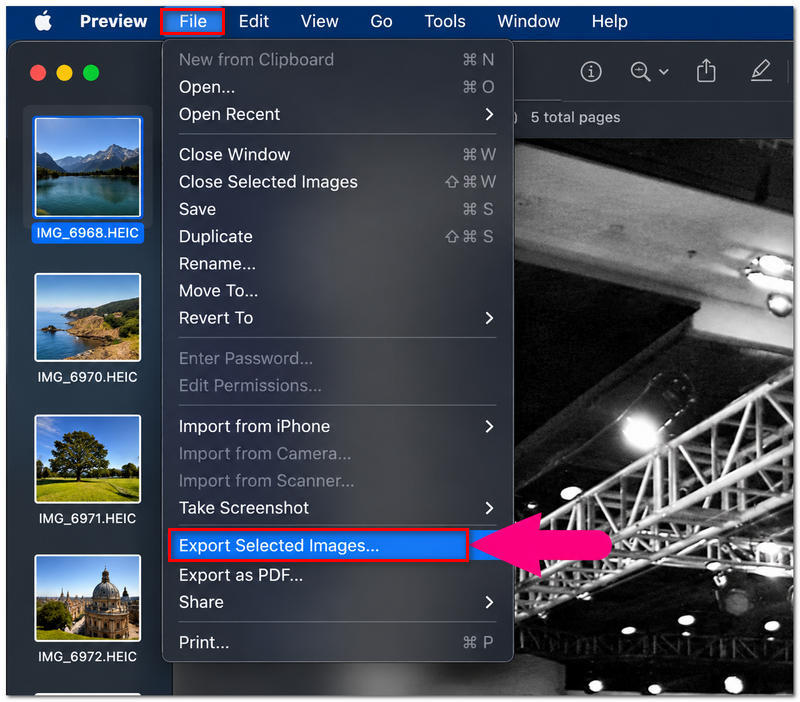 Select Export Selected Images