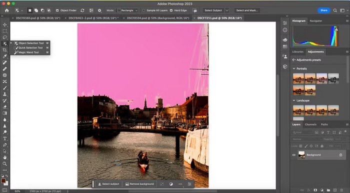 在 Photoshop 快速选择工具中更改颜色