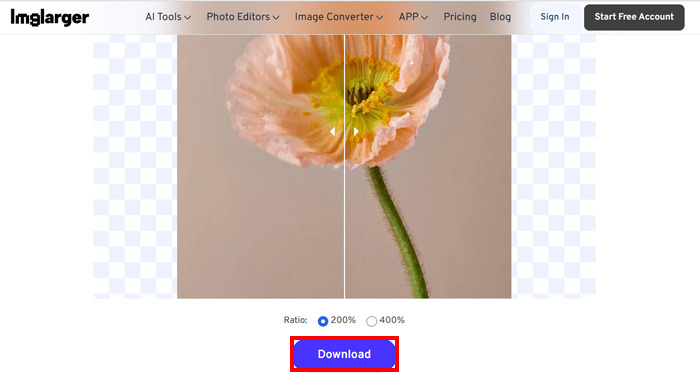 העלאה להגדלה של תמונות (Imglarger) להורדה